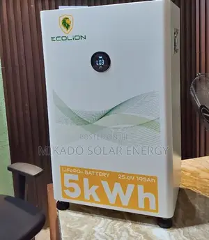 5kwh 24v Ecolion Lithium-Ion Battery