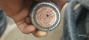 630mm Single Amoured Cable