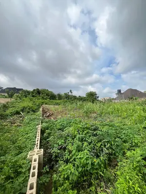 A Plot of Land in a Fast Developing Estate