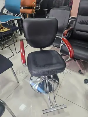 Salon/Barber Styling Chair