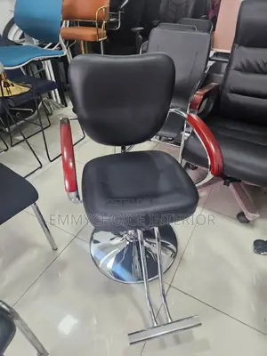 Salon/Barber Styling Chair
