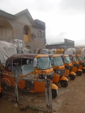 New Tricycle 2025