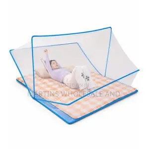 Blue-Framed Mosquito Net Tent Set