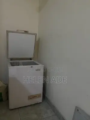 Mini Deep Freezer