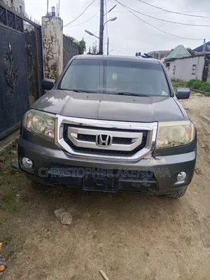 Honda Pilot 2010 Gray
