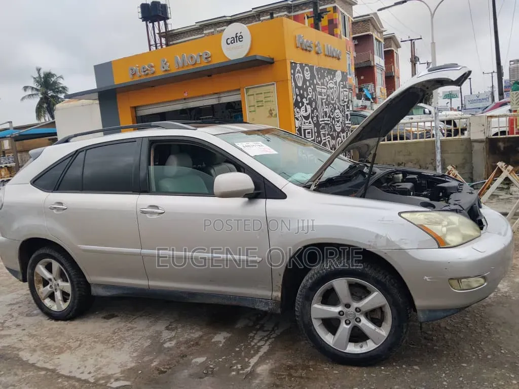 Lexus RX 2007 Silver