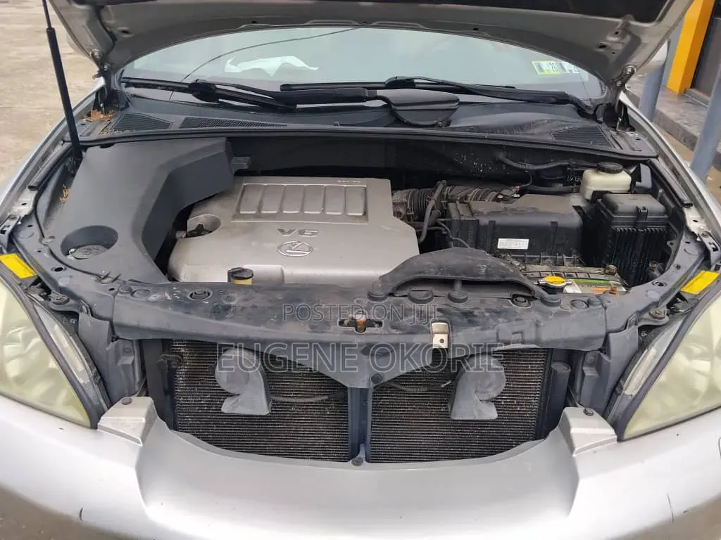 Lexus RX 2007 Silver