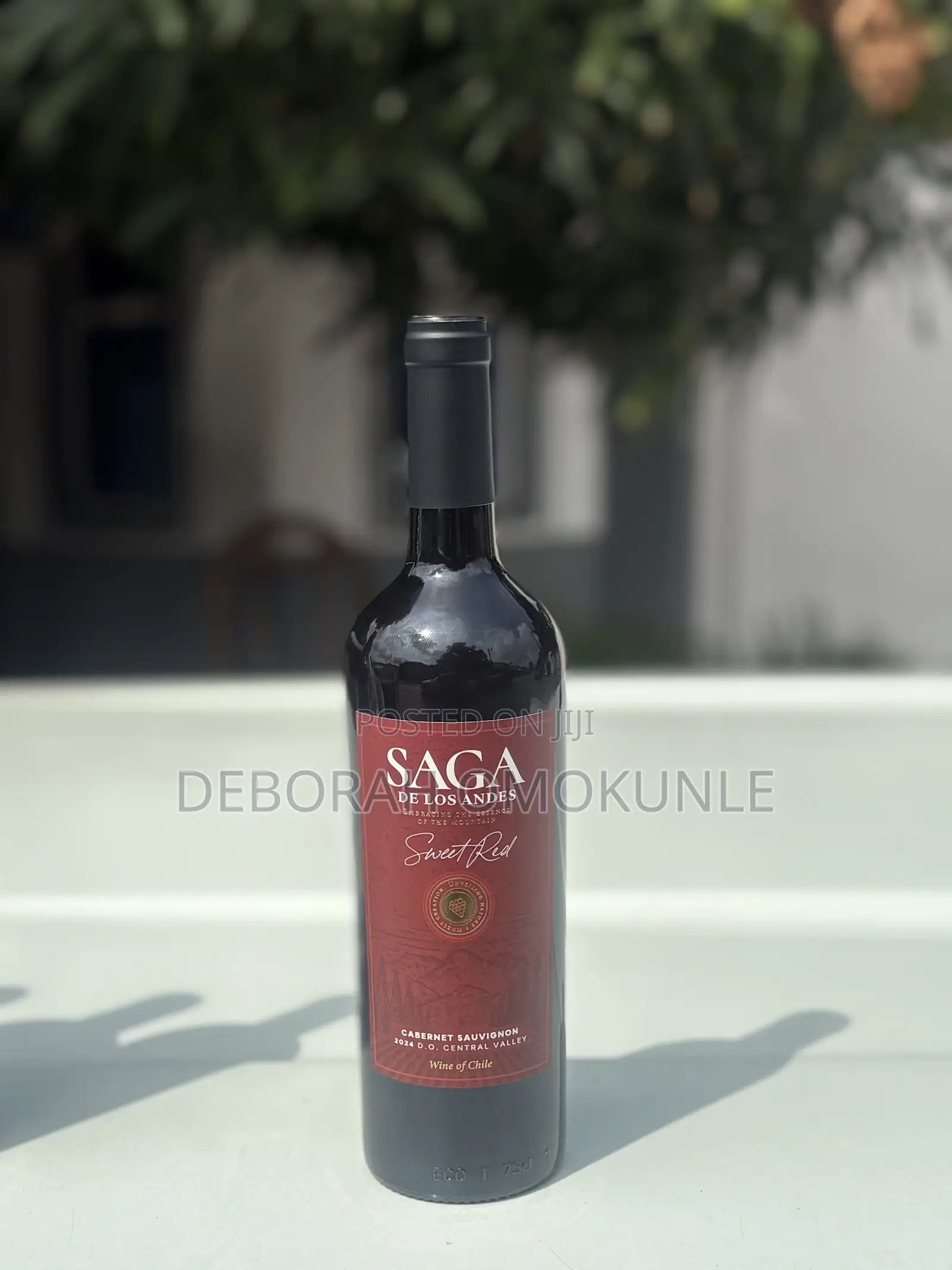 SAGA RED WINE / by 12