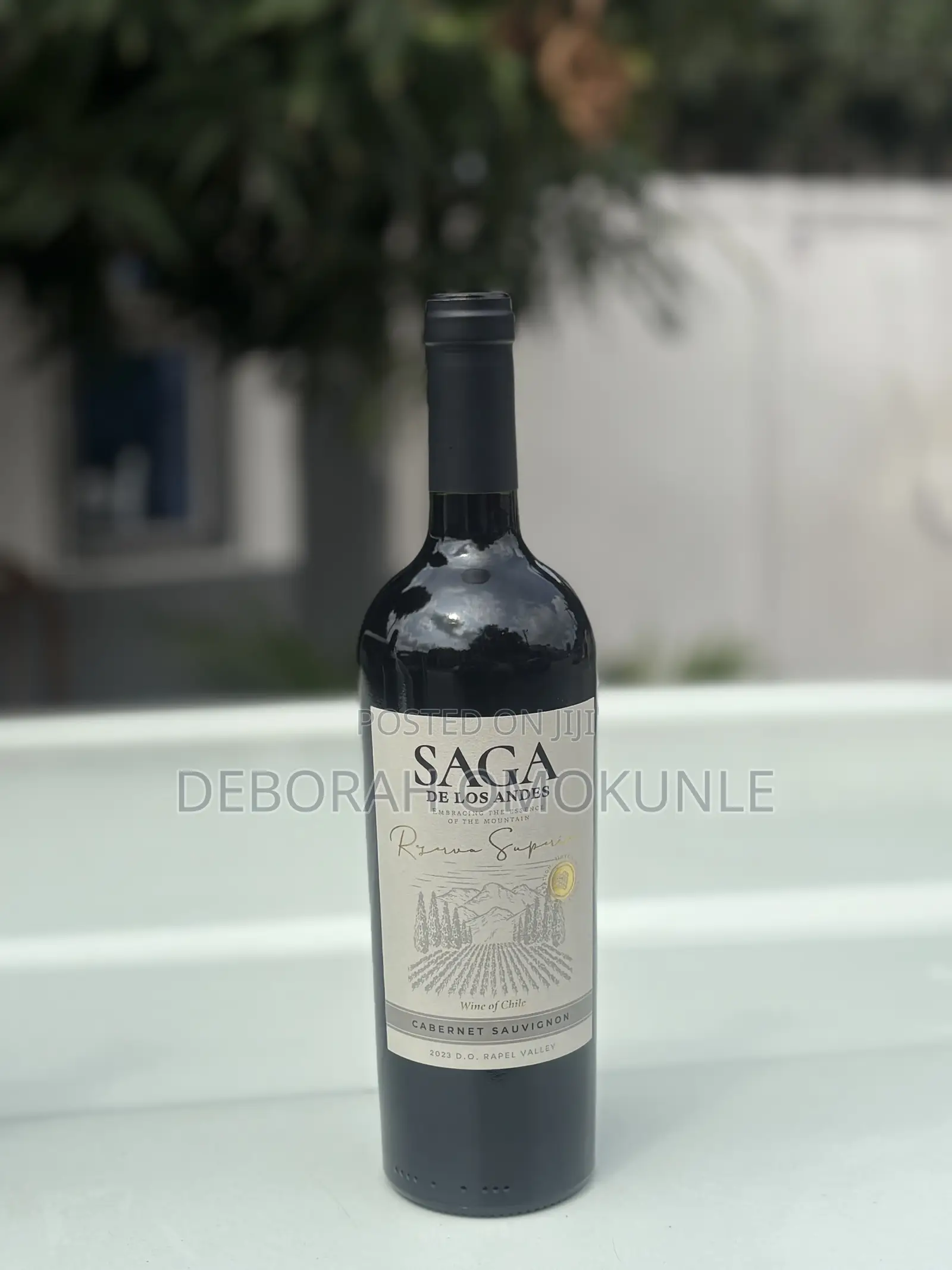 SAGA RED WINE / by 12