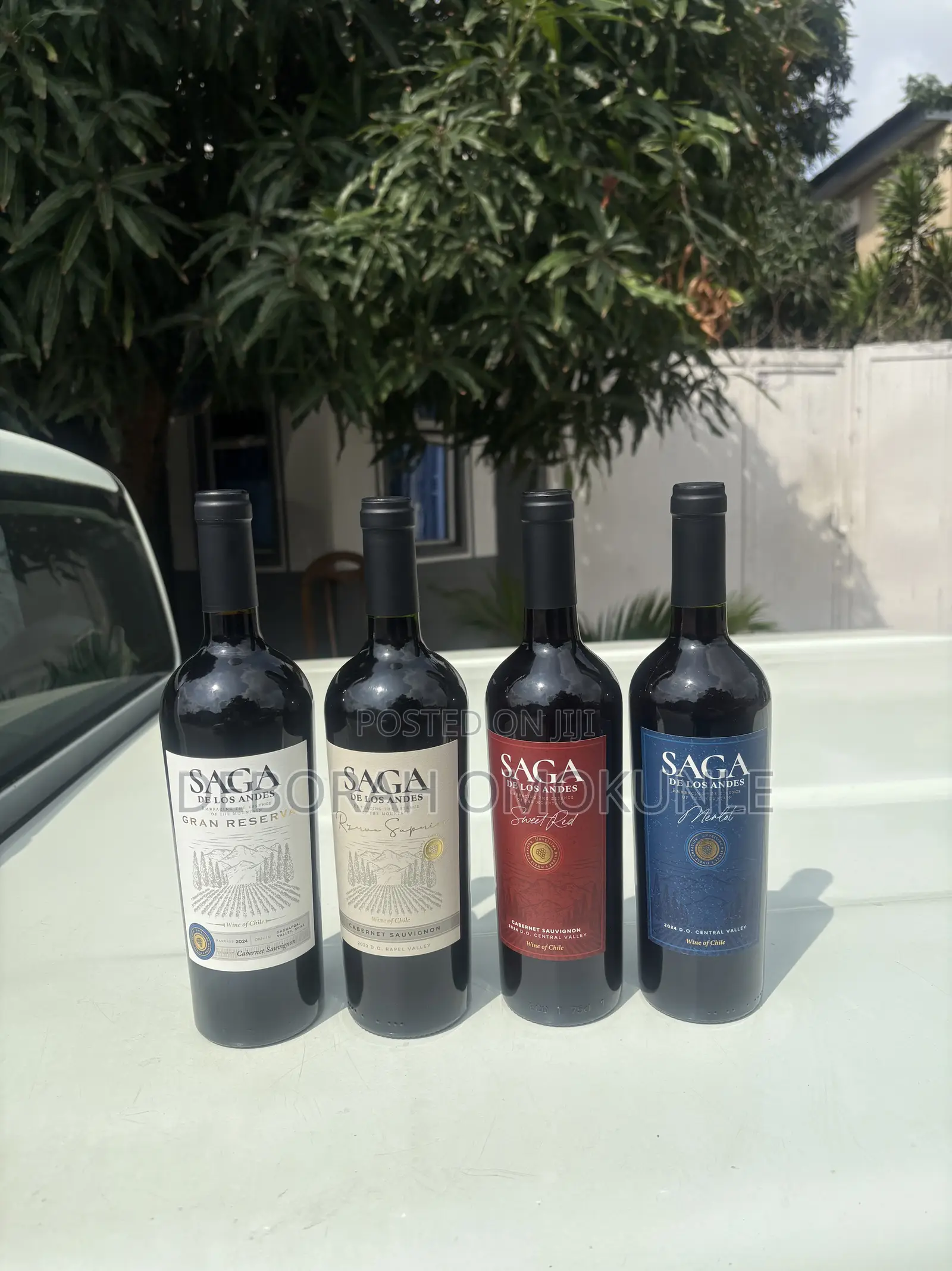 SAGA RED WINE / by 12