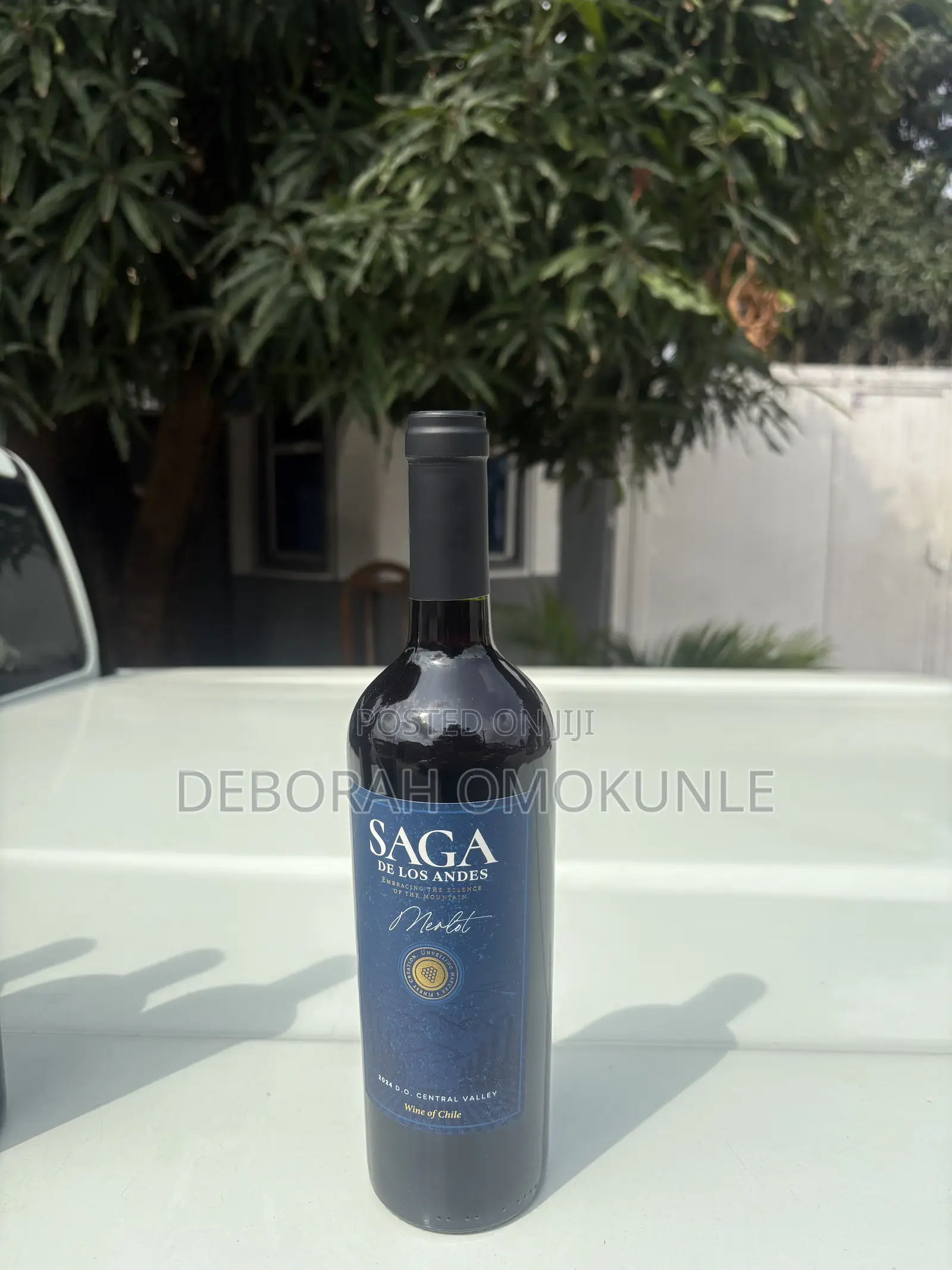 SAGA RED WINE / by 12