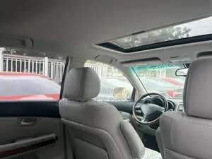 Lexus RX 350 AWD 2009 Silver