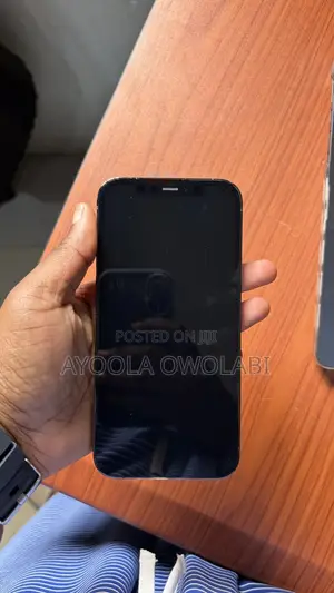 Apple iPhone 12 Pro 256 GB Gray