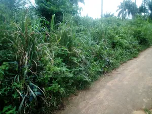 A Plot of Land for Sale