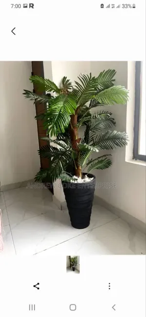 Elegant Flower Pot for Sale