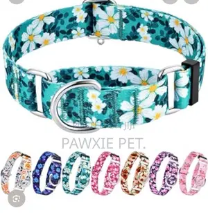 Design Nylon Training Collar 2.0cm