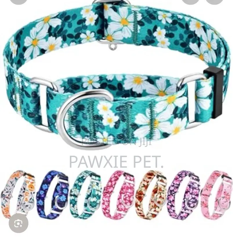 Design Nylon Training Collar 2.0cm
