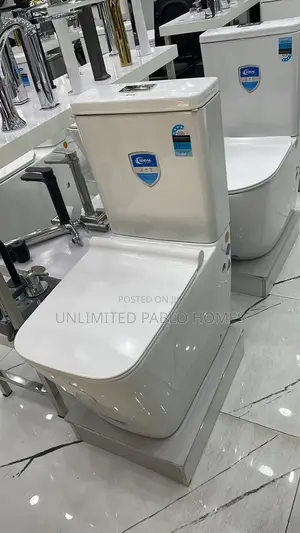 Standard Back-to-Wall Dual Flush Water Closet