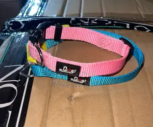 Dog Favour Collar 1.5cm