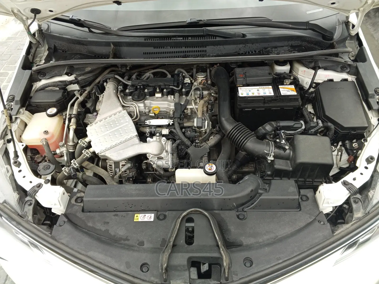 Toyota Corolla 2019 White