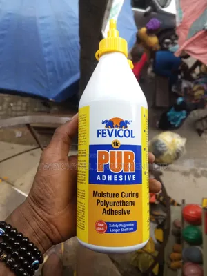 Fevicol Pur 1.1kg