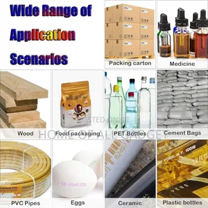 Automatic Inkjet Coding Machine,Date Coding Machine for Production