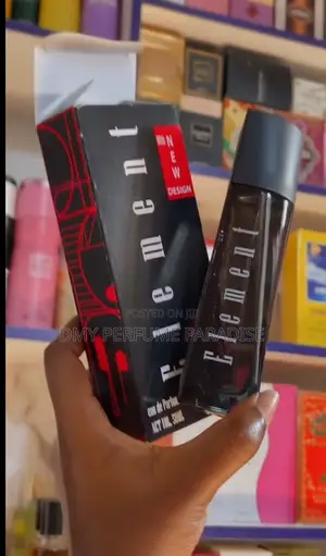 Dammy Perfume Paradise – Original Perfumes Body Sprays