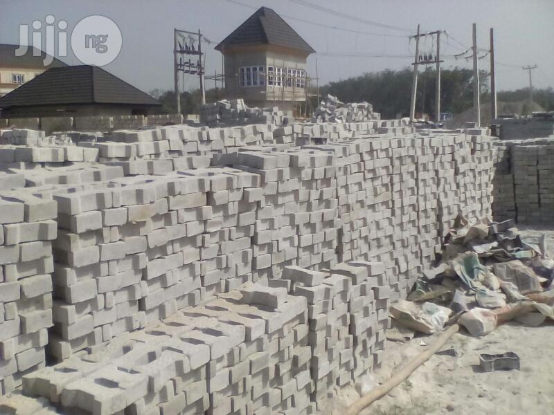 Interlocking Paving Stones for Sale
