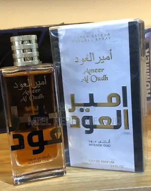 Ameer Al Oudh