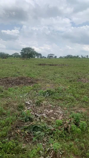 Afonja Farm Estate