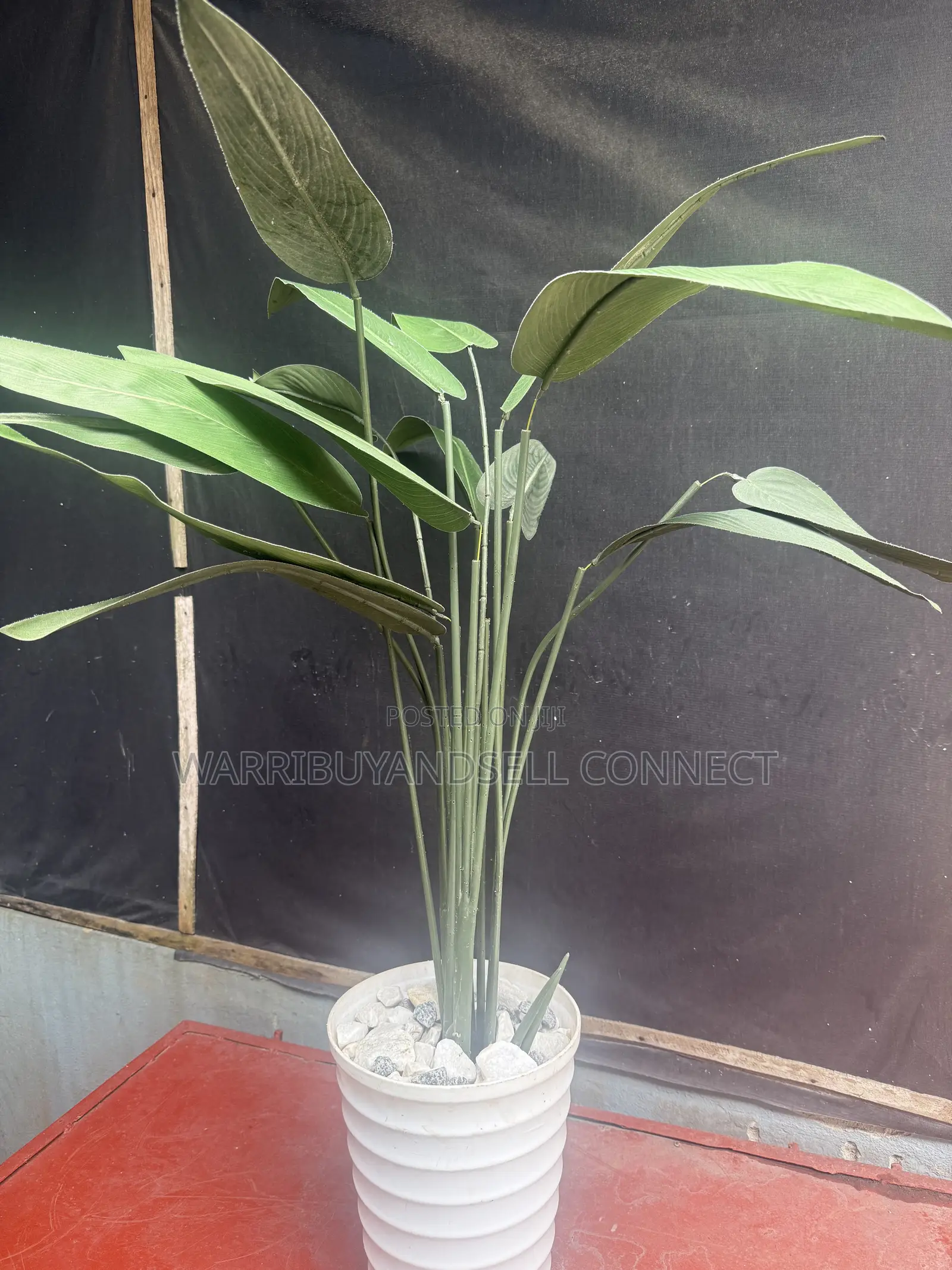Flower Pot