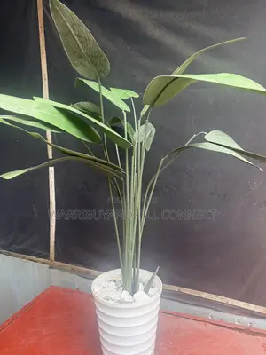 Flower Pot