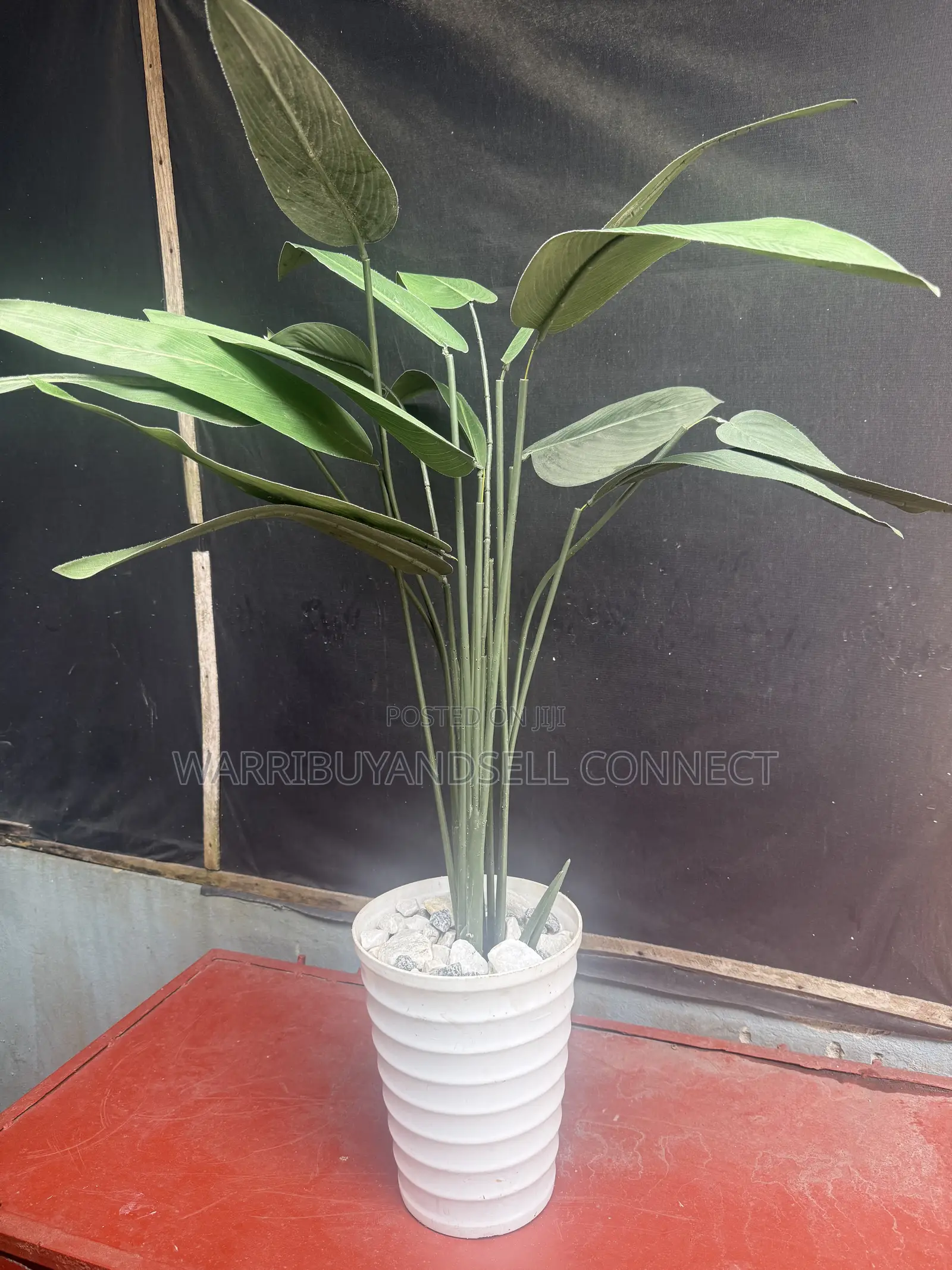 Flower Pot