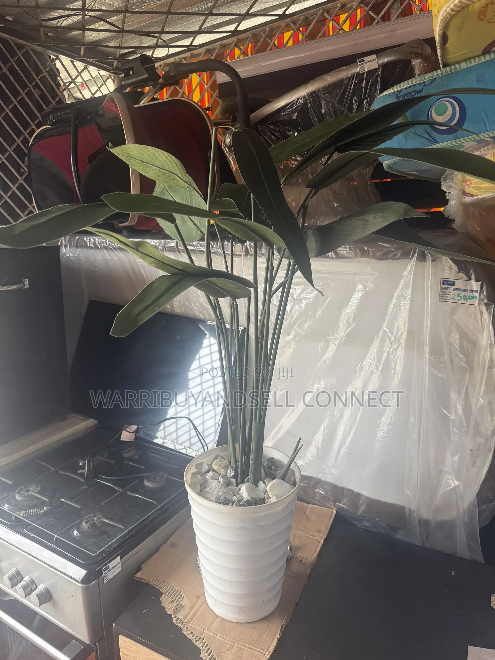 Flower Pot