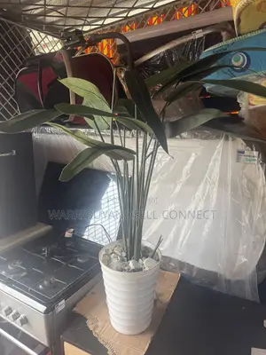 Flower Pot