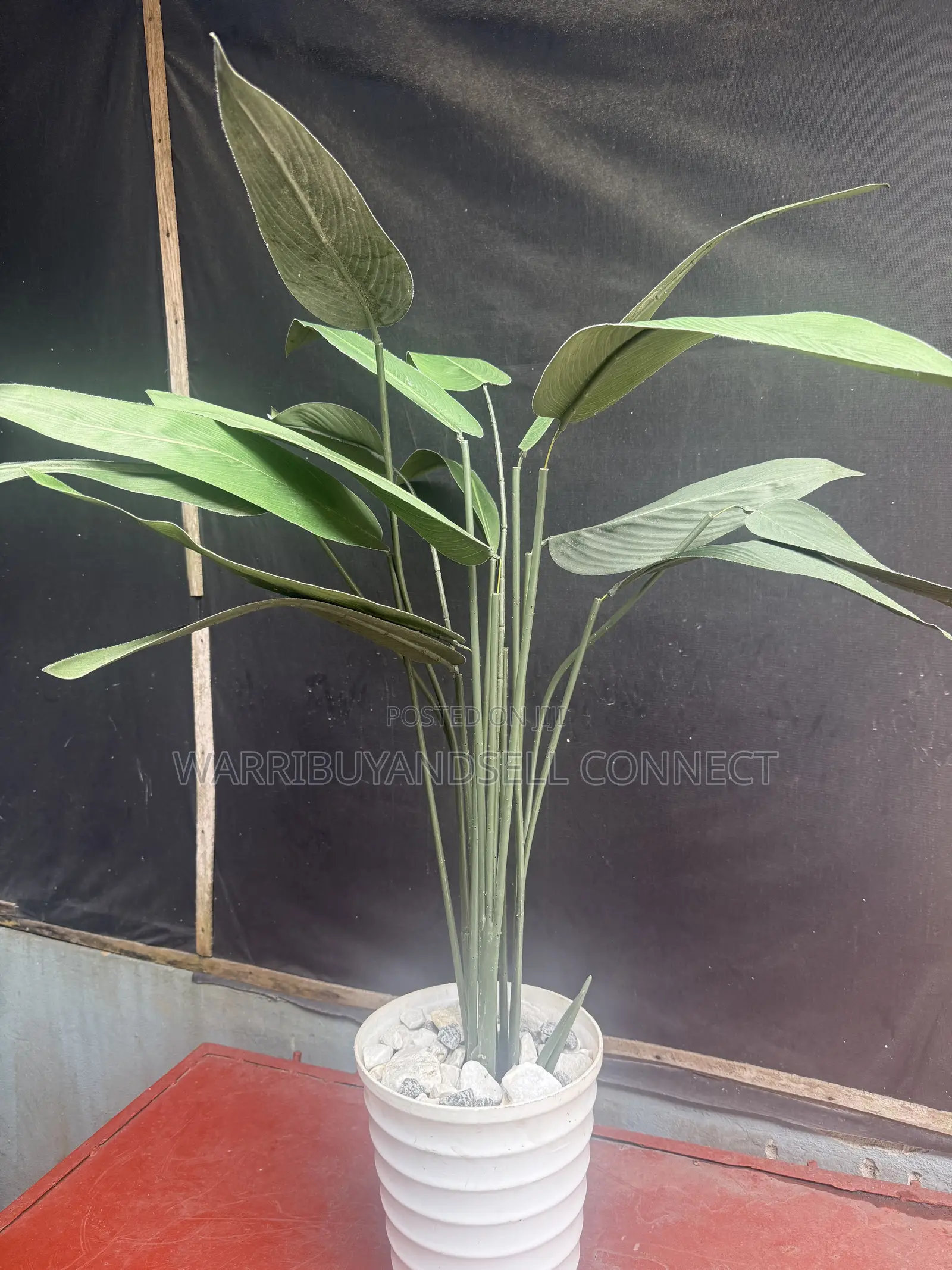 Flower Pot