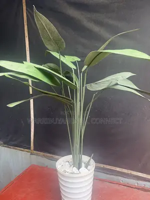 Flower Pot