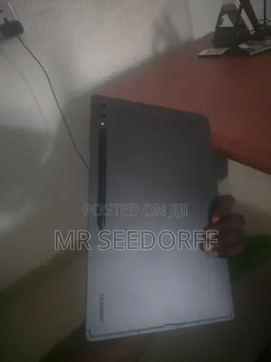 Samsung Galaxy Tab S9 Ultra 256 GB Gray