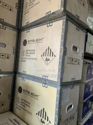 Entelechy 5kwh Lithium Battery 24v