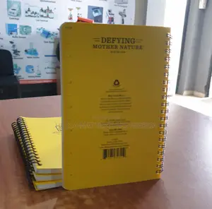 Geological Field Notebook (NO 353)
