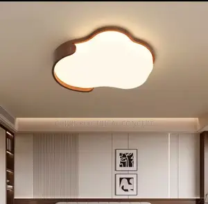 Luxury Ceiling Fittings