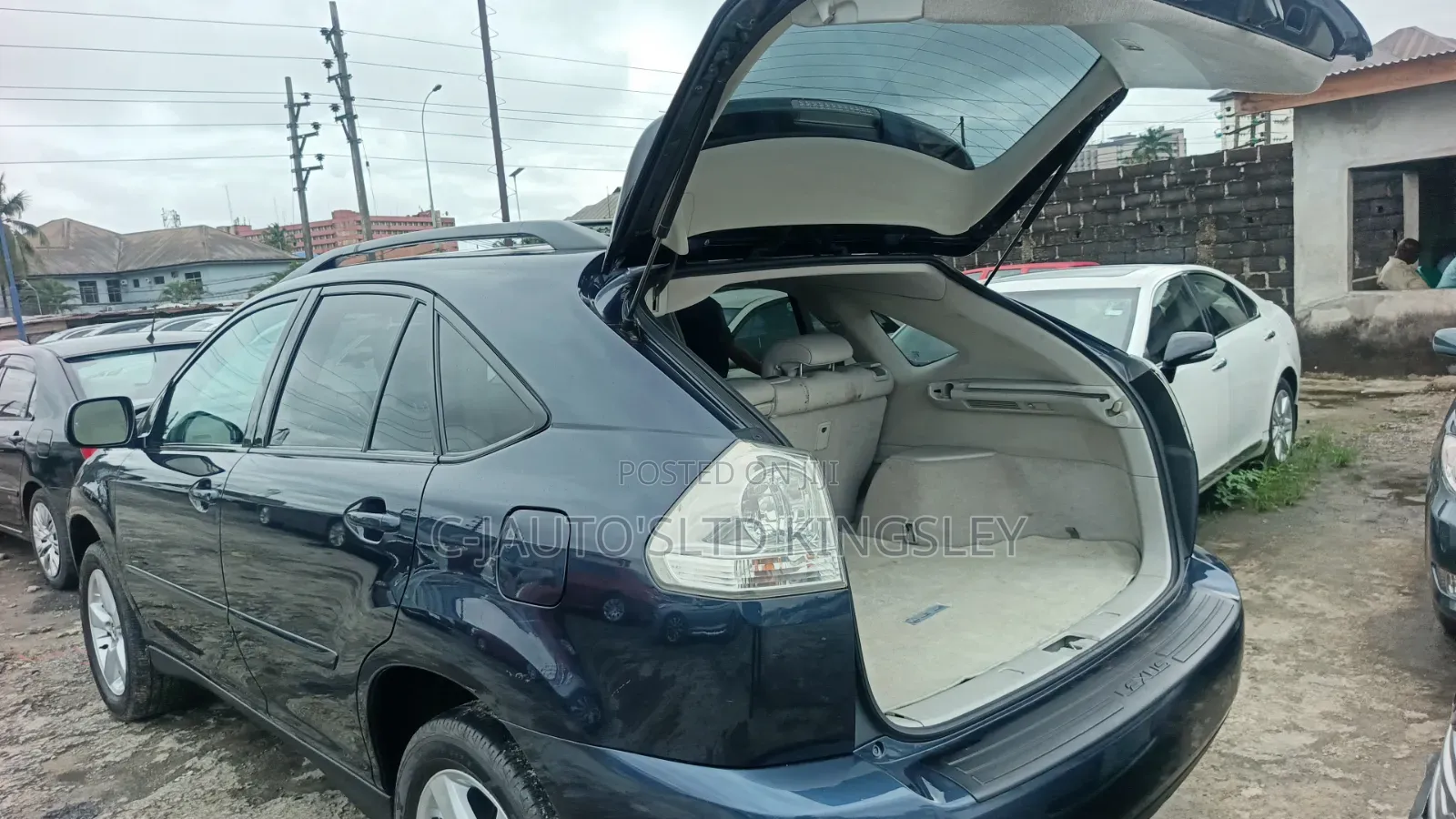 Lexus RX 330 2006 Blue