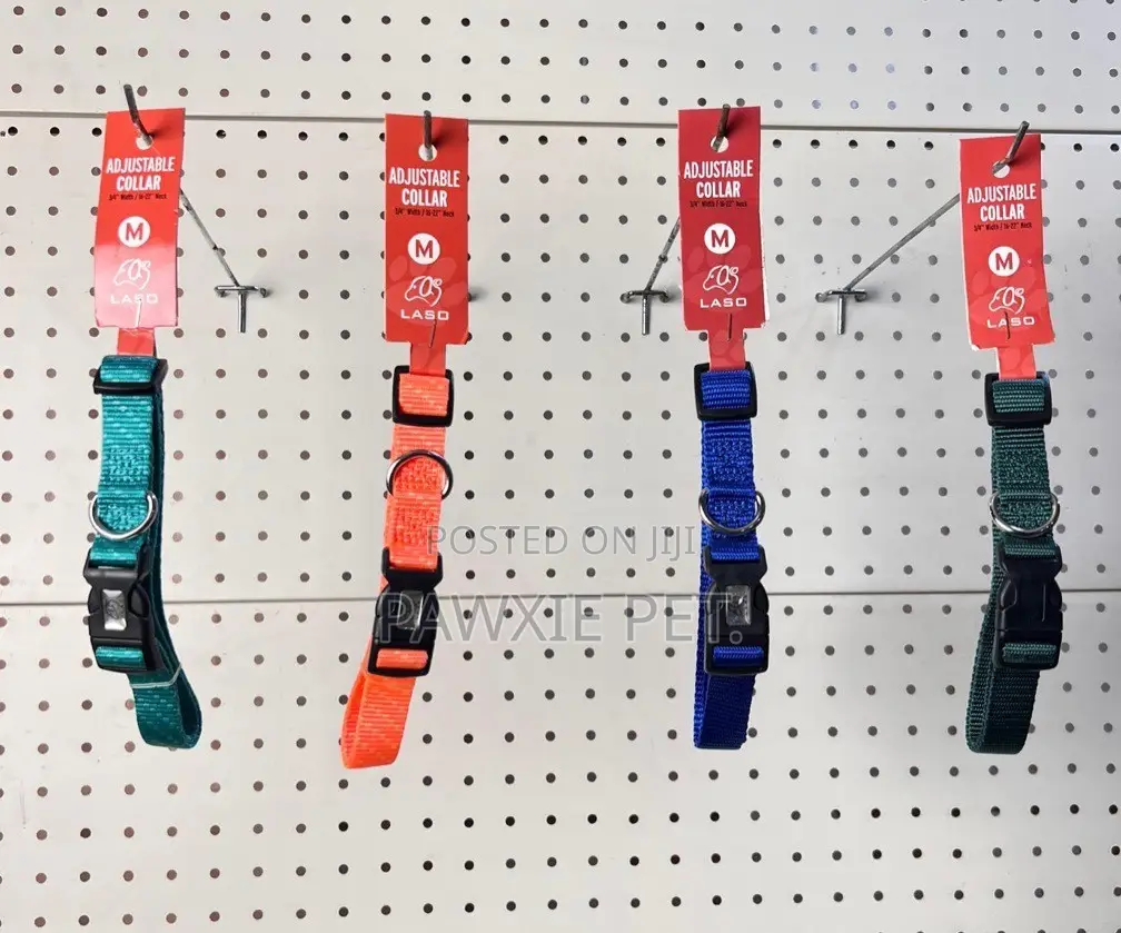 Laso Adjustable Nylon Collar 1.5cm(s)