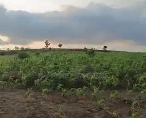 5.04 Hectares Land for Sale at Apo Wasa, Abuja