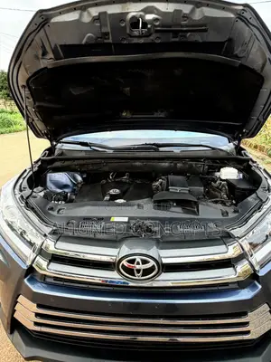 Toyota Highlander XLE 2019 Blue