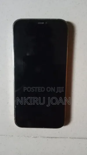 Apple iPhone 12 Pro Max 128 GB Rose Gold