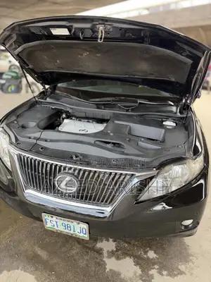Lexus RX 350 2010 Black