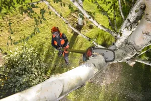 Oregon 40v Rechargeable Pole Saw