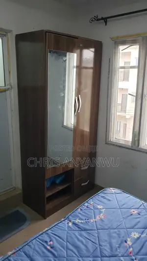 Wardrobe With Attached Mirror