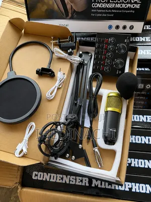 Live Singing Professional Condenser Microphone